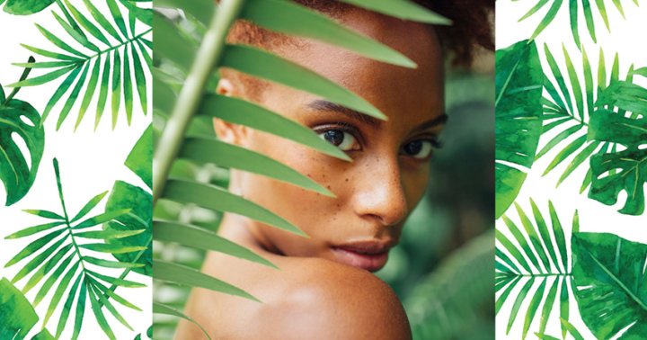 The Beauty Brands That Belong In Every Sustainable Apothecary